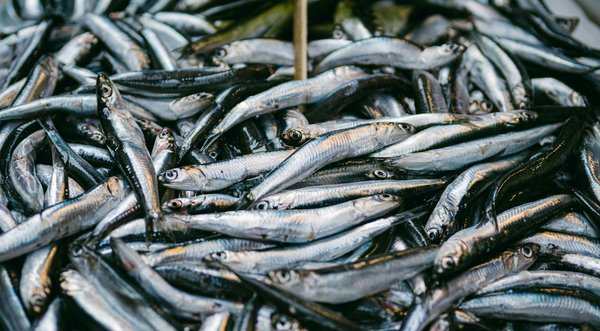 Innovative Physiotherapy Approaches: Transforming Post-Amputation Care in the UK